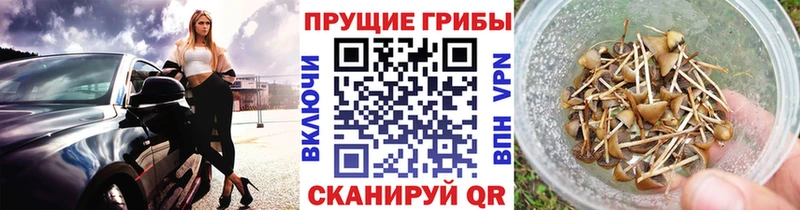 Галлюциногенные грибы прущие грибы  наркотики  Нижний Тагил 